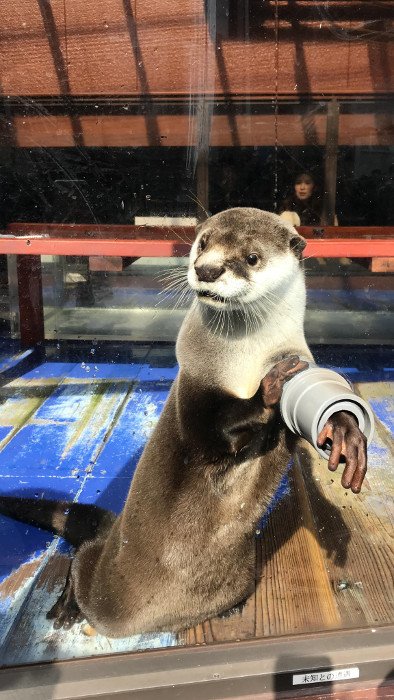 伊勢シーパラダイス（水族館）