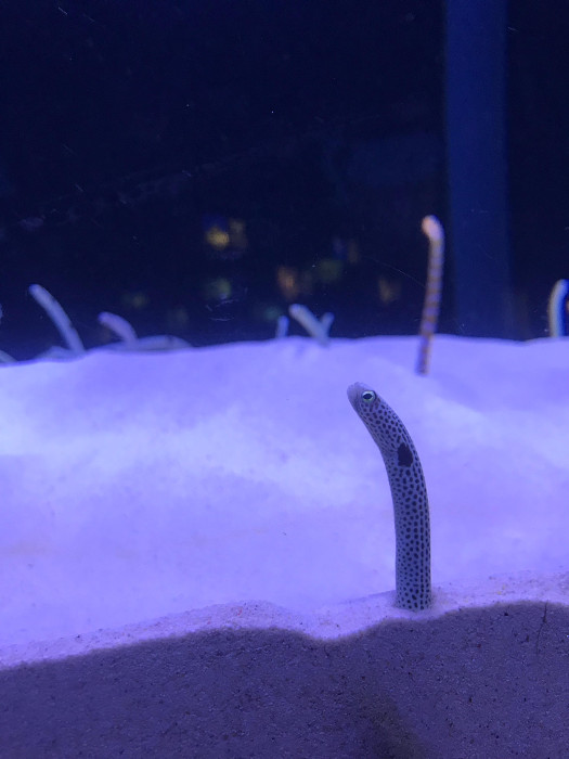 マリンワールド海の中道（水族館）