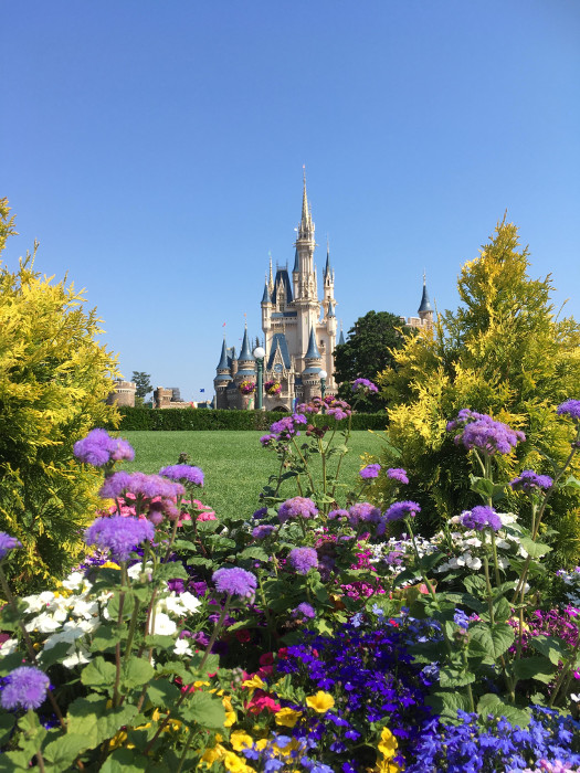 東京ディズニーランド（テーマパーク）