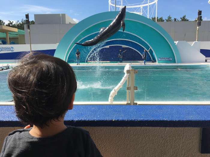 鴨川シーワールド（水族館）