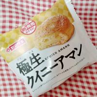 ヤマザキ 極生クイニーアマンの商品画像