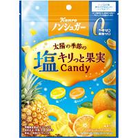 カンロ ノンシュガー塩キリっと果実キャンディの商品画像