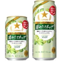 サッポロ 日本のホップ畑から 摘みたてホップの商品画像