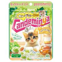 カンロ カンデミーニャグミコネコネこねこの商品画像