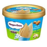 ハーゲンダッツ ミニカップ Gelati (ジェラーティ) ソルティキャラメル&ピスタチオの商品画像