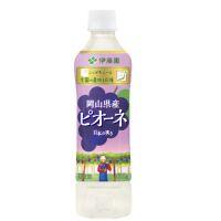 伊藤園 ニッポンエール 岡山県産ピオーネの商品画像