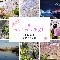 【2023年4月】「桜フォトコンテスト」入賞発表！過去最大応募数97件！