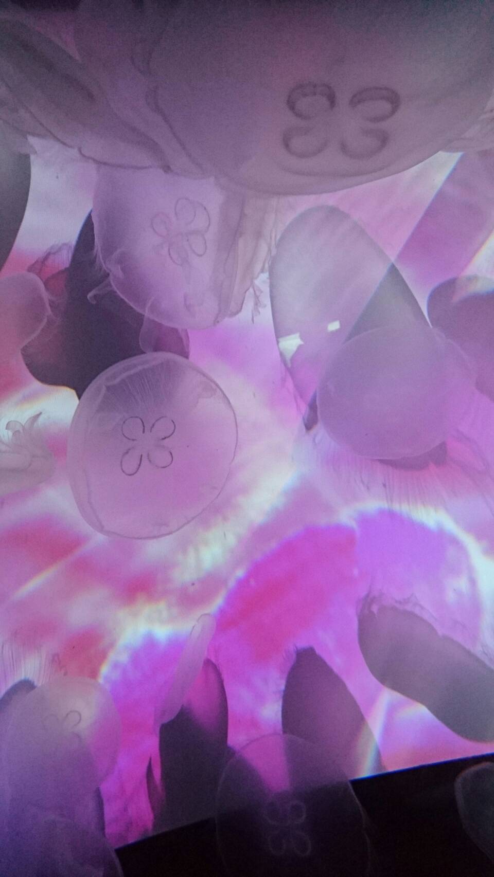 noimage