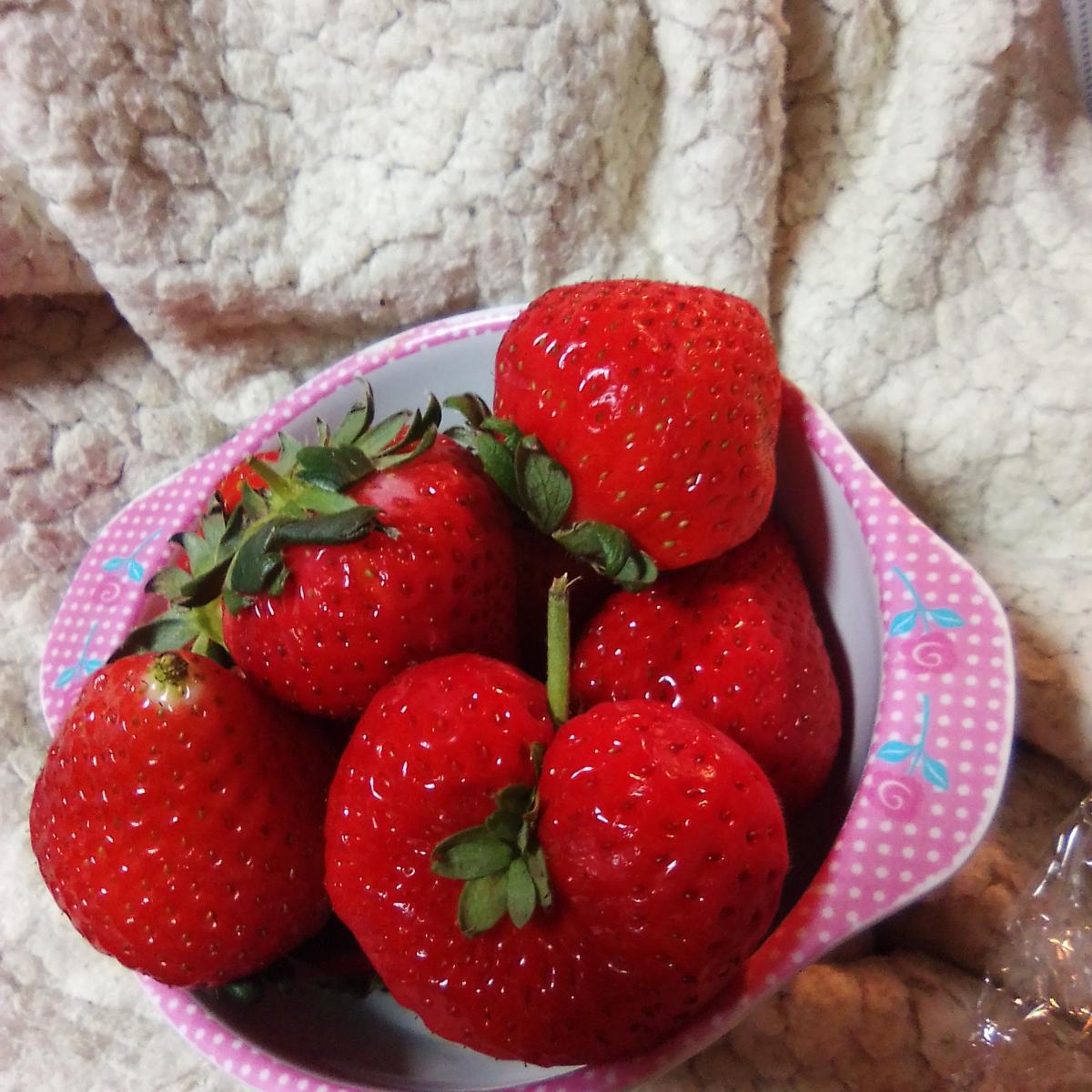 グッピーさんのプロフィール画像