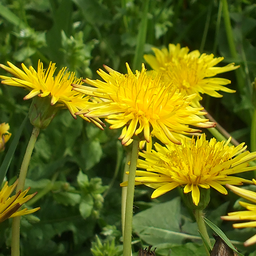 mitsunishiさんのプロフィール画像