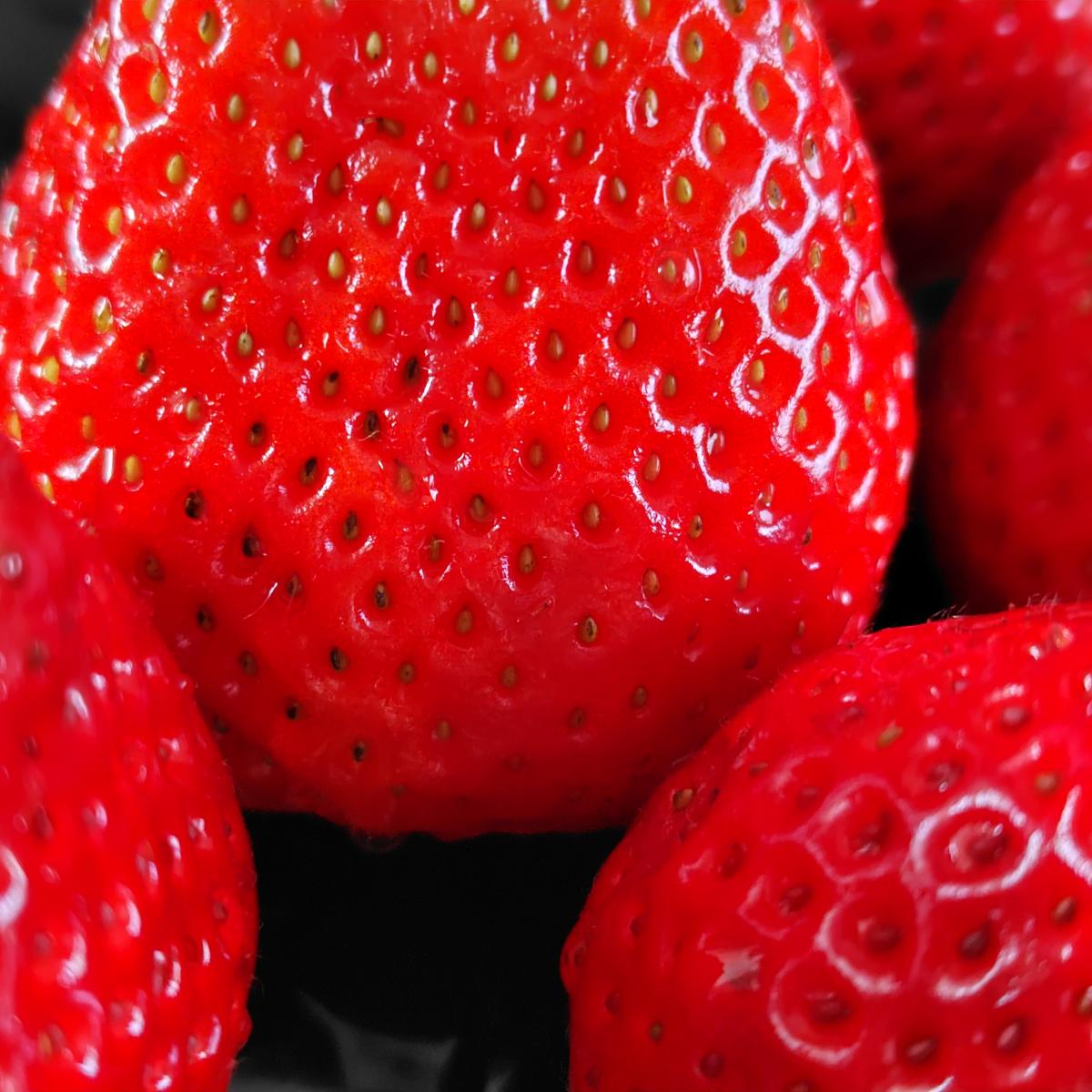 Chocolate Loverさんのプロフィール画像