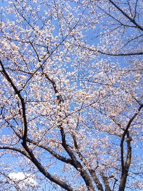 ウキット師匠さんのプロフィール画像