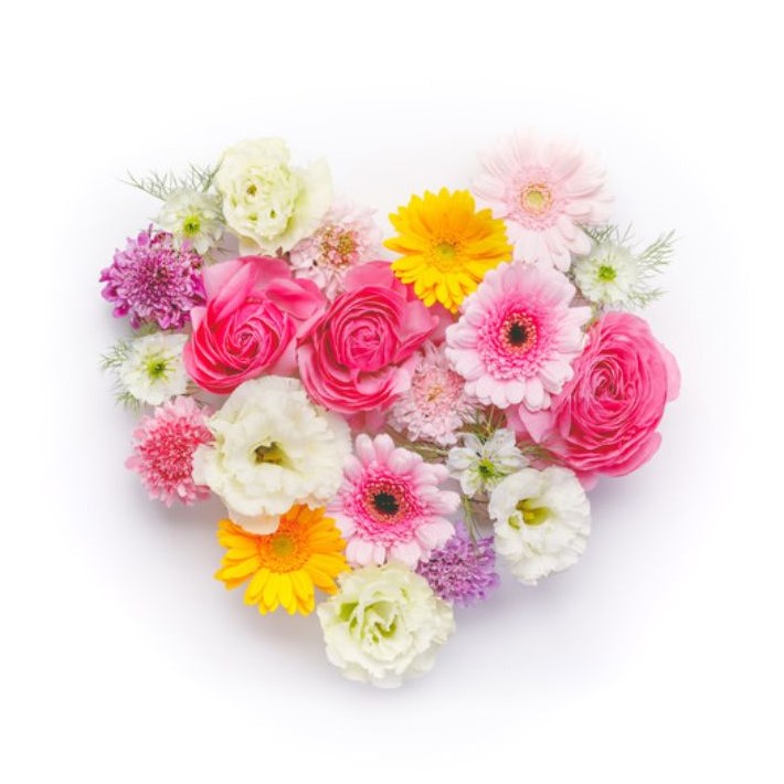 小梅1118さんのプロフィール画像