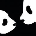 noimage