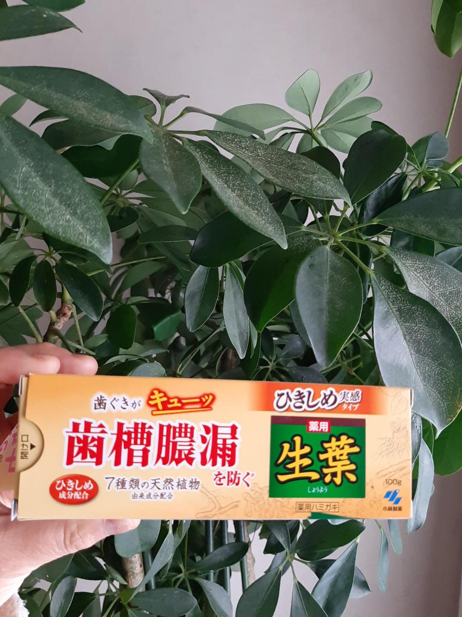 小林製薬 ひきしめ生葉 しょうよう の商品ページ