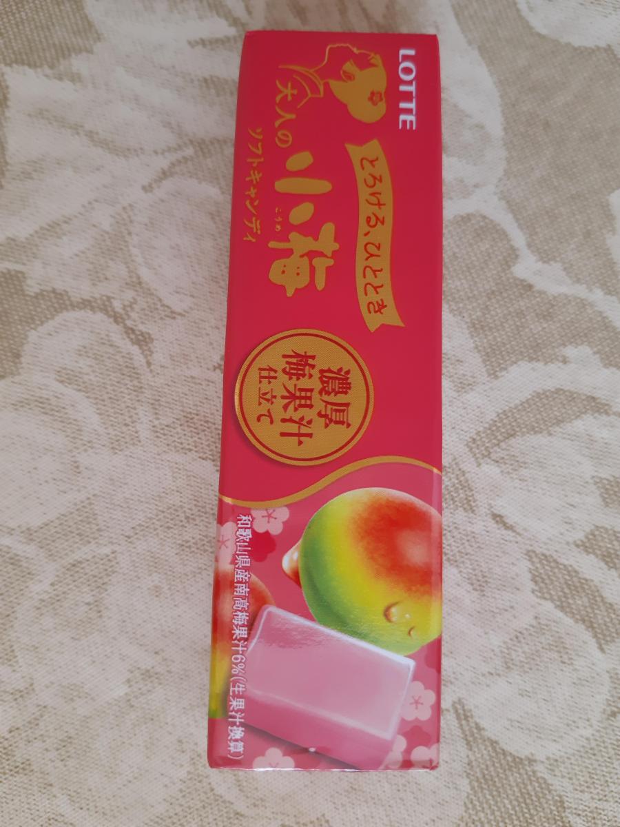 ロッテ 大人の小梅 濃厚梅果汁仕立て の商品ページ ロッテ 大人の小梅 濃厚梅果汁仕立て の商品ページ