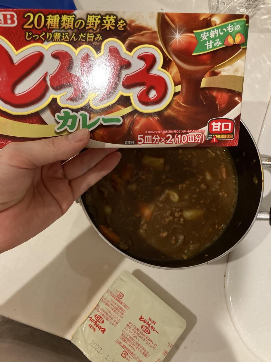 SB とろけるカレー 甘口 ×60個セット 180g 全国送料無料