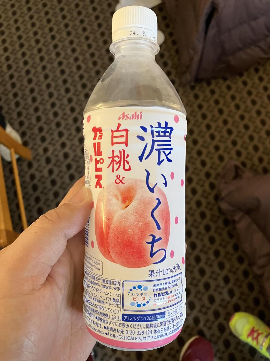 アサヒ ウィルキンソン タンサン エクストラ 490ml ペットボトル 48本 (24本入×2 まとめ買い)  送料無料 機能性表示食品 Qoo10 | ウィルキンソン-炭酸水-48本の検索結果(人気順) : ウィルキンソン-炭酸水-48本ならお得なネット通販サイト