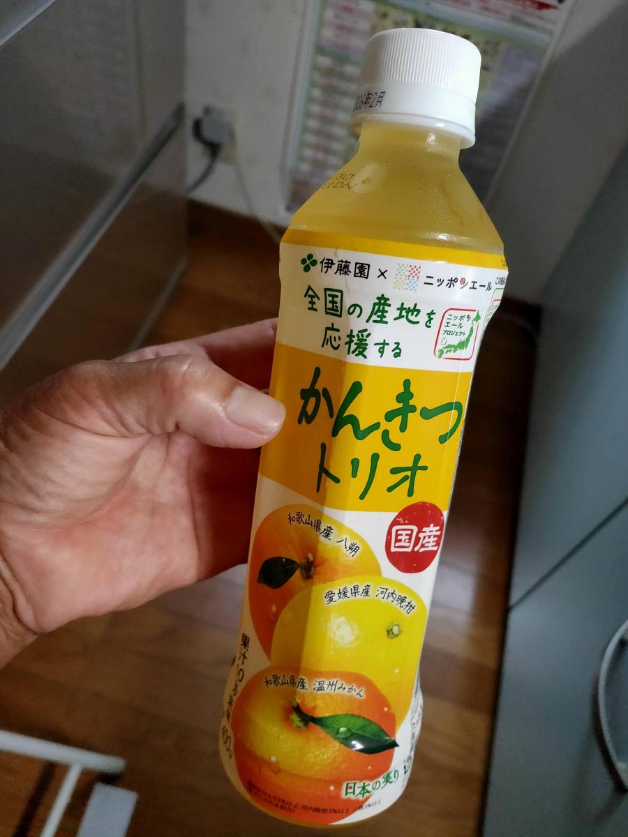 伊藤園 ニッポンエール 国産かんきつトリオ 400g×1ケース/24本 楽天
