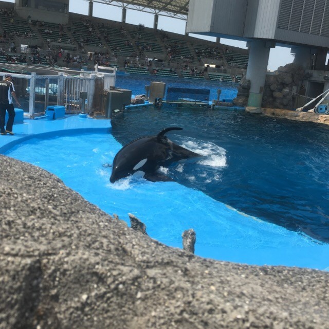 名古屋港水族館の商品ページ