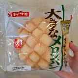 ボリューム抜群