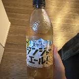 少し甘めのジンジャーエール