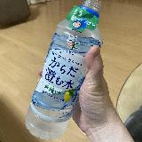 レモンの香りのする水という予想の範囲内のお味