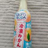 冷凍感は分からないが美味しかった。