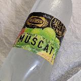 マスカット来ました！