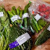 色々な野菜！