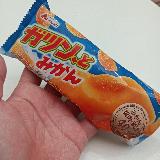 甘み、食感が強烈なみかん！