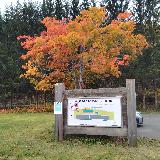北海道北部山間部の道の駅