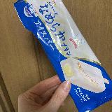 美味しいけど溶けやすいので注意