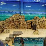 ラッコとジュゴンが観られる水族館