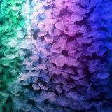 時間を忘れる水族館🪼