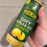 後味レモンの本格ジンジャーエールと思います。