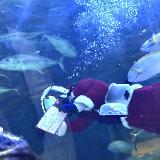 季節ごとの魅力があります。