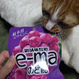 ついつい食べ過ぎてしまう&hellip;