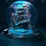 おしゃれ水族館