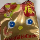 甘酸っぱい梅味がマッチ