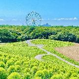 晴れの日は最高