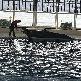 大人も子どもも充分に満喫できる