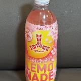 残念ながら自分には合わない