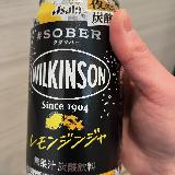 ピリッとジンジャー風味