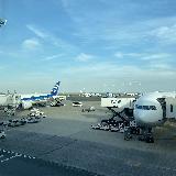 機内だけでなく地上での対応も良いです！