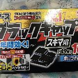 スキマに入る！