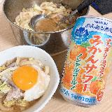 ちょっとチープな？