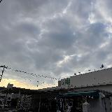 少し古いけど良い