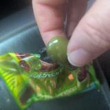 抹茶が、濃くて美味しい