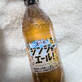 甘めのジンジャーエール